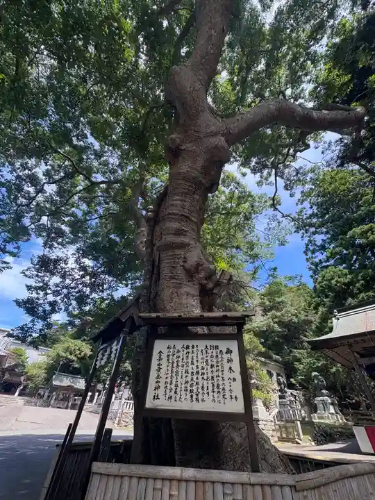 金華山黄金山神社(宮城県)