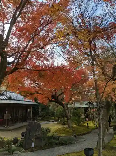 高台寺（高台寿聖禅寺・高臺寺）(京都府)