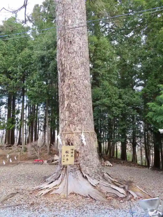 滑川神社 - 仕事と子どもの守り神の自然