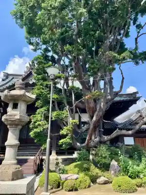 泉沢寺(神奈川県)