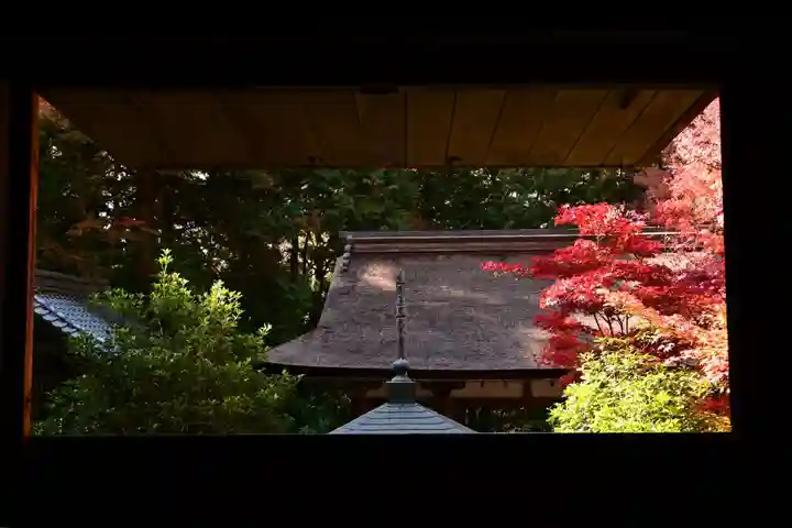 金剛輪寺(滋賀県)