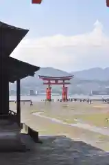 厳島神社(広島県)