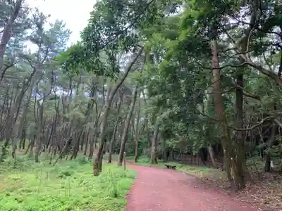 みそぎ御殿の周辺