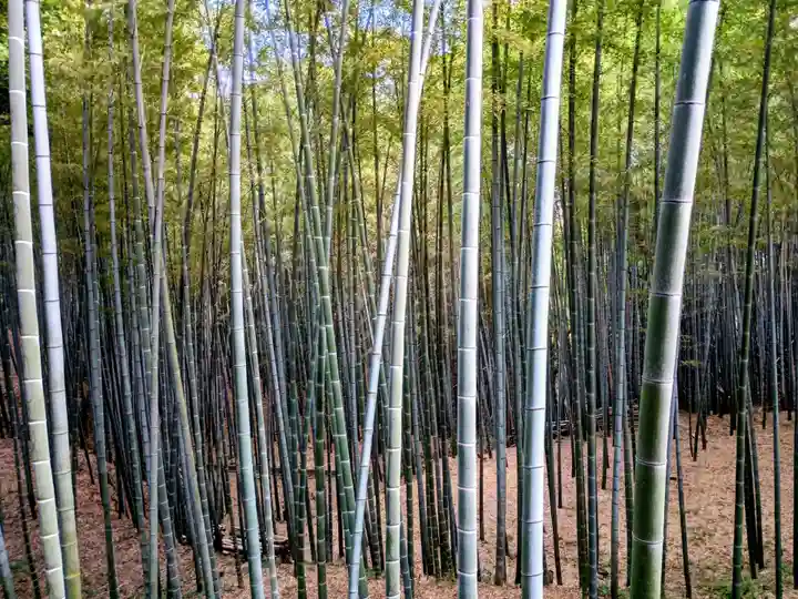 石清水八幡宮(京都府)