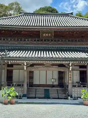 知恩院の本殿・本堂