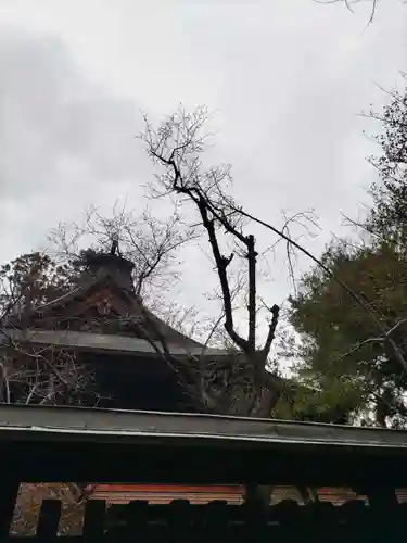 甲斐國一宮 浅間神社(山梨県)