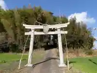 中津神社の鳥居