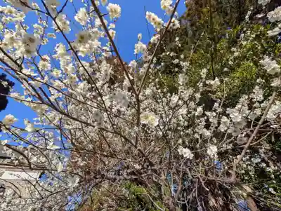 豊景神社(福島県)