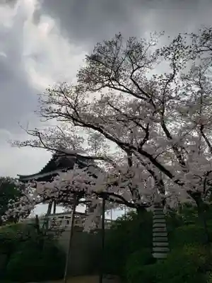 福蔵院(東京都)