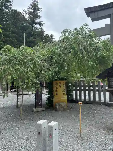 小國神社(静岡県)