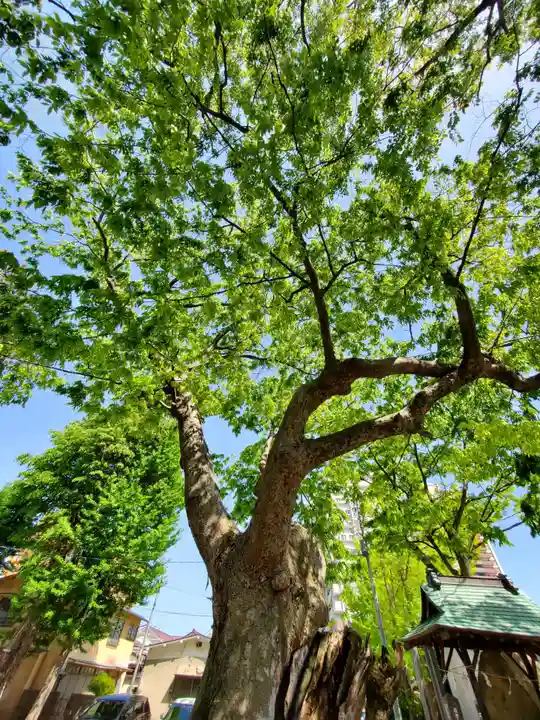 阿邪訶根神社(福島県)