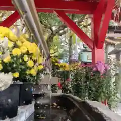 美奈宜神社の手水