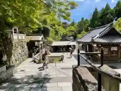 清水寺(京都府)