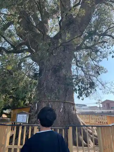 伊勢神明社の自然
