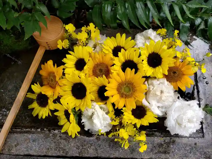 本郷氷川神社(東京都)