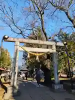 大井氷川神社(埼玉県)