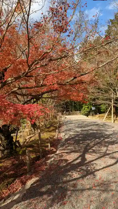龍安寺(京都府)