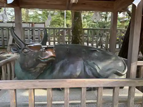 出雲大社(島根県)