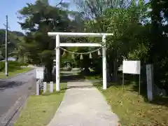 井田神社の鳥居