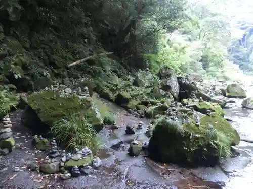 天岩戸神社の自然