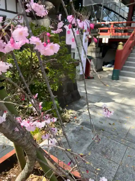多摩川浅間神社の自然