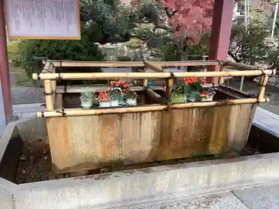 津島神社の手水舎