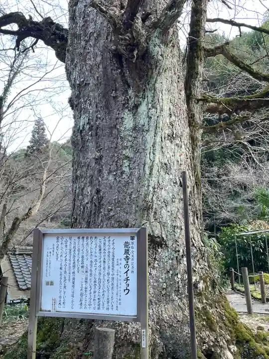 龍蔵寺(山口県)