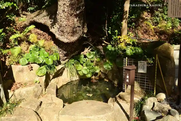 師岡熊野神社(神奈川県)