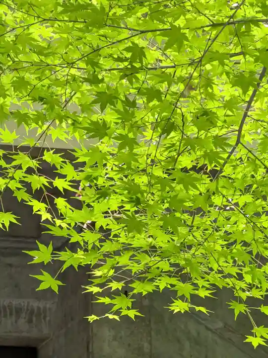 大正寺(東京都)