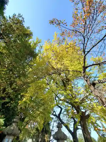 神炊館神社 ⁂奥州須賀川総鎮守⁂(福島県)
