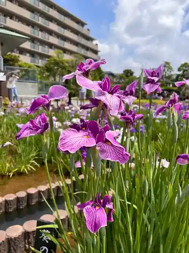 堀切天祖神社(東京都)