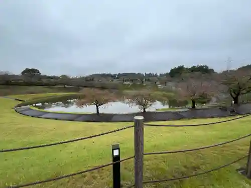東本願寺本廟 牛久浄苑（牛久大仏）(茨城県)