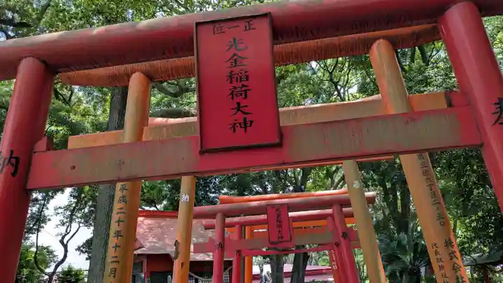 光金稲荷神社の鳥居