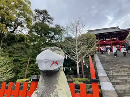 鶴岡八幡宮の狛犬