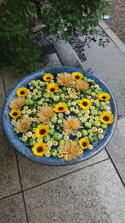 行田八幡神社の手水舎