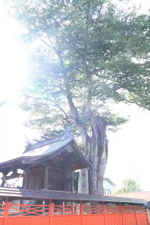 橘神社(埼玉県)
