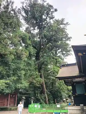 香取神宮の{uncategorized: "未分類", other: "その他", undefined: "問題あり", building: "その他建物", grave: "お墓", sacred_gate: "鳥居", guardian: "狛犬", statue: "像", buddha: "仏像", history: "歴史", nature: "自然", garden: "庭園", animal: "動物", pagoda: "塔", temizu: "手水舎", mountain_gate: "山門・神門", sanctuary: "本殿・本堂", subordinate: "末社・摂社", art: "芸術", scenery: "景色", jizo: "地蔵", ema: "絵馬", goshuin: "御朱印", omikuji: "おみくじ", items: "授与品その他", amulet: "お守り", goshuincho: "御朱印帳", eats: "食事", festival: "お祭り", votive_dance: "神楽", shichigosan: "七五三参", wedding: "結婚式", experience: "体験その他", initially: "初詣", around: "周辺", anti_infection: "感染症対策"}