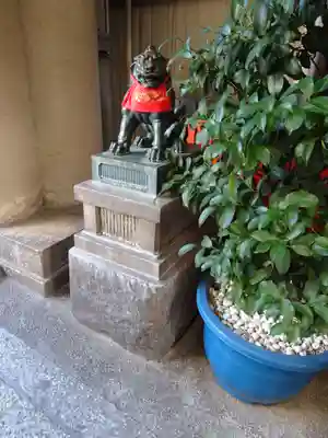 錦天満宮の狛犬
