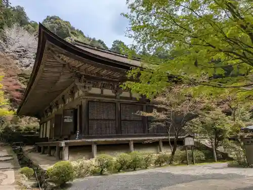 金剛輪寺(滋賀県)