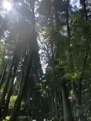 上色見熊野座神社(熊本県)