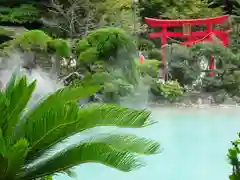 白龍稲荷大神の鳥居