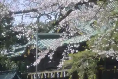 三嶋大社(静岡県)