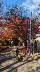 宇治上神社の周辺