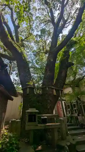五社之瀧神社(京都府)
