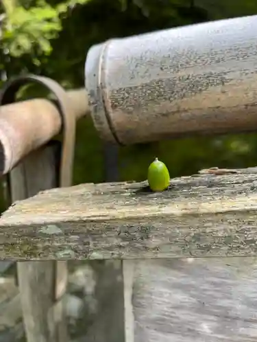慈照寺（慈照禅寺・銀閣寺）(京都府)