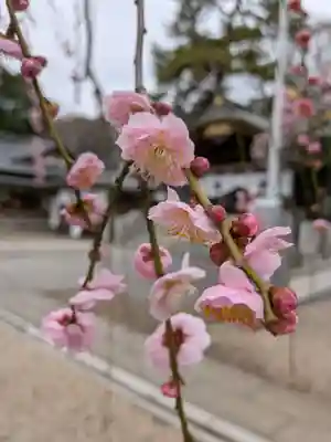布多天神社(東京都)
