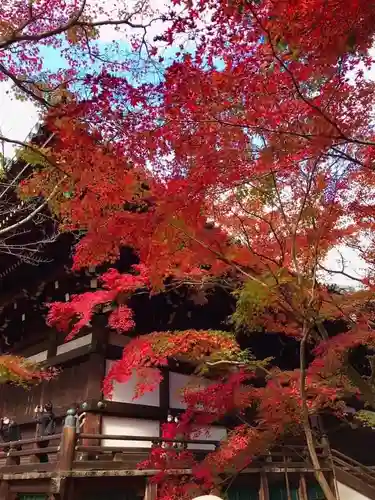真正極楽寺（真如堂）(京都府)