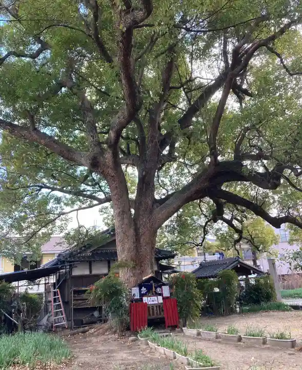 川邊八幡神社(大阪府)