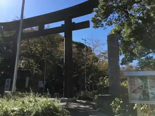 愛知縣護國神社の鳥居