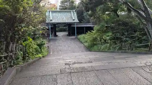 湯島聖堂の山門